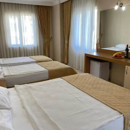 House Hotel *